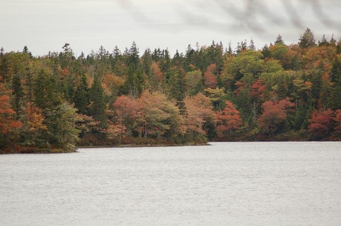 Salmon Lake 2010_030